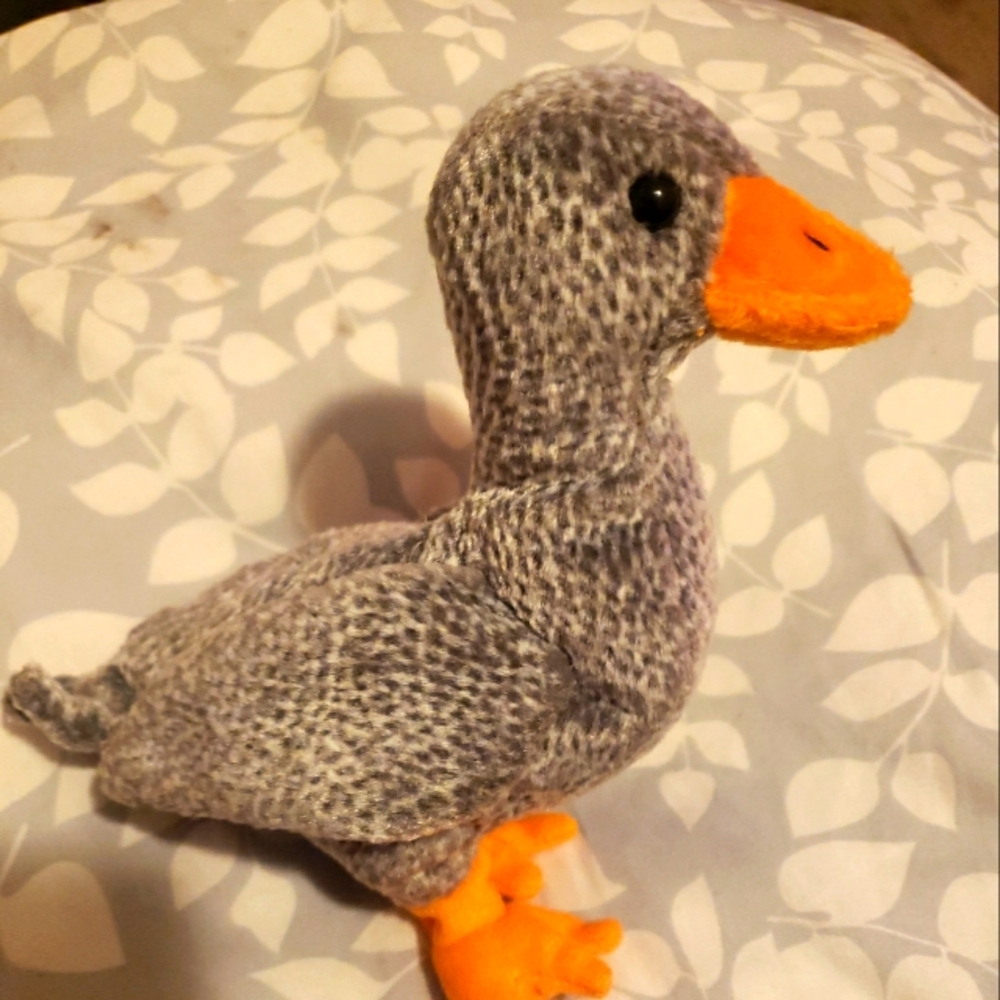 Honks TY Beanie Baby  with errors